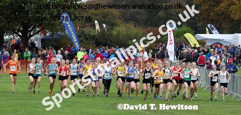 Start of the senior womens Northern Cross Country Relays. Photo: David T. Hewitson/Sports for All Pics